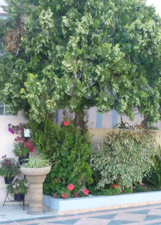 Rainbow Hotel Rhodes City Екстериор снимка